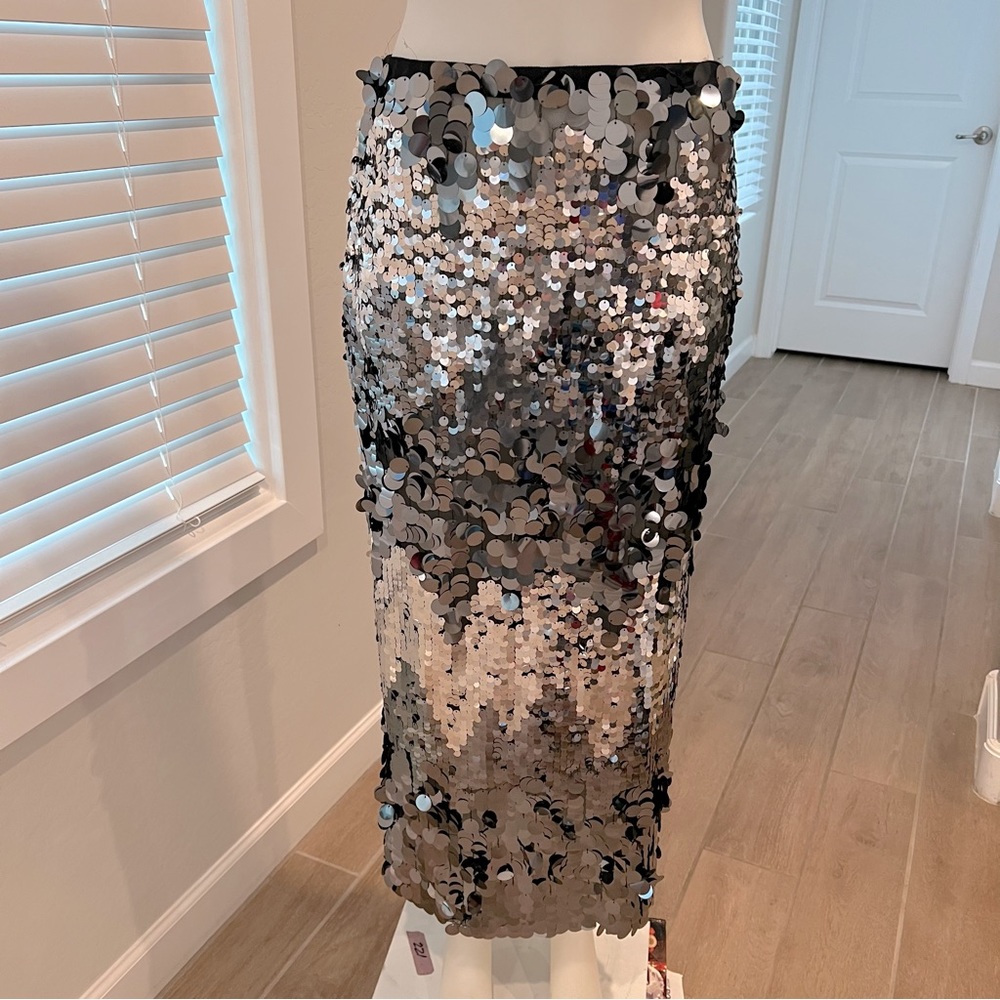 Zara sequin skirt
